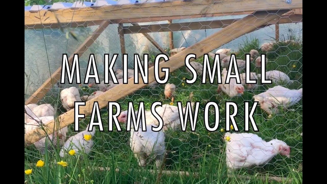 S5 E12 How much does it cost to run a farm? YouTube