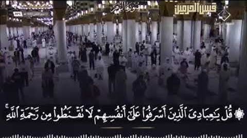 تلاوة في قمة الخشوع والروعة، أخاذة للقلوب من سورة الزمر لفضيلة الشيخ د. أحمد طالب حميد
