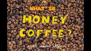 Celebrity What is Honey Coffee? (Part 1) Profile
