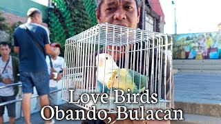 Bentahan ng murang Love birds sa Obando Bulacan