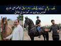 Tm Horse Stud Farm Owner Malik Nasir Ishaq Exclusive Interview || ملک ریاض کے بھانجےکاگھوڑافارم