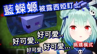 被露西婭 ‘’拜訪‘’ 的holo第一隻藍色蠑螈【hololive 中文】【潤羽露西婭】