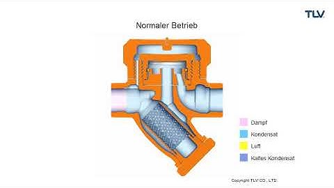 Thermodynamische Kondensatableiter ThermoDyne® Betriebsanimation