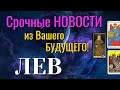 ЛЕВ 💯 Срочные НОВОСТИ из Вашего БУДУЩЕГО Таро Расклад онлайн