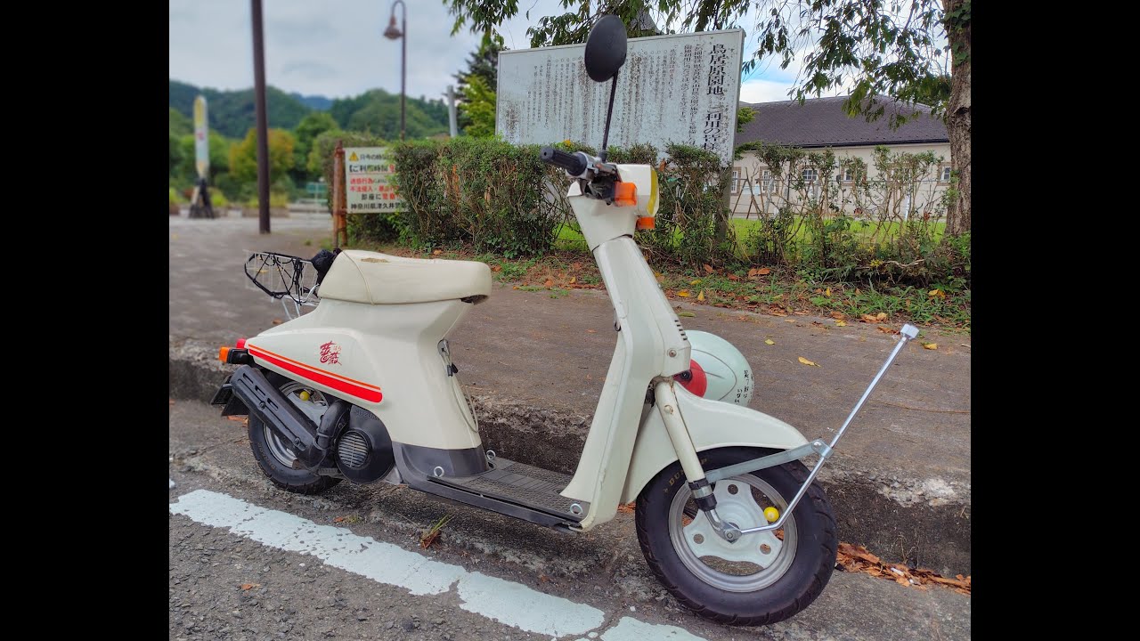 薔薇で宮ヶ瀬に行くだけの動画