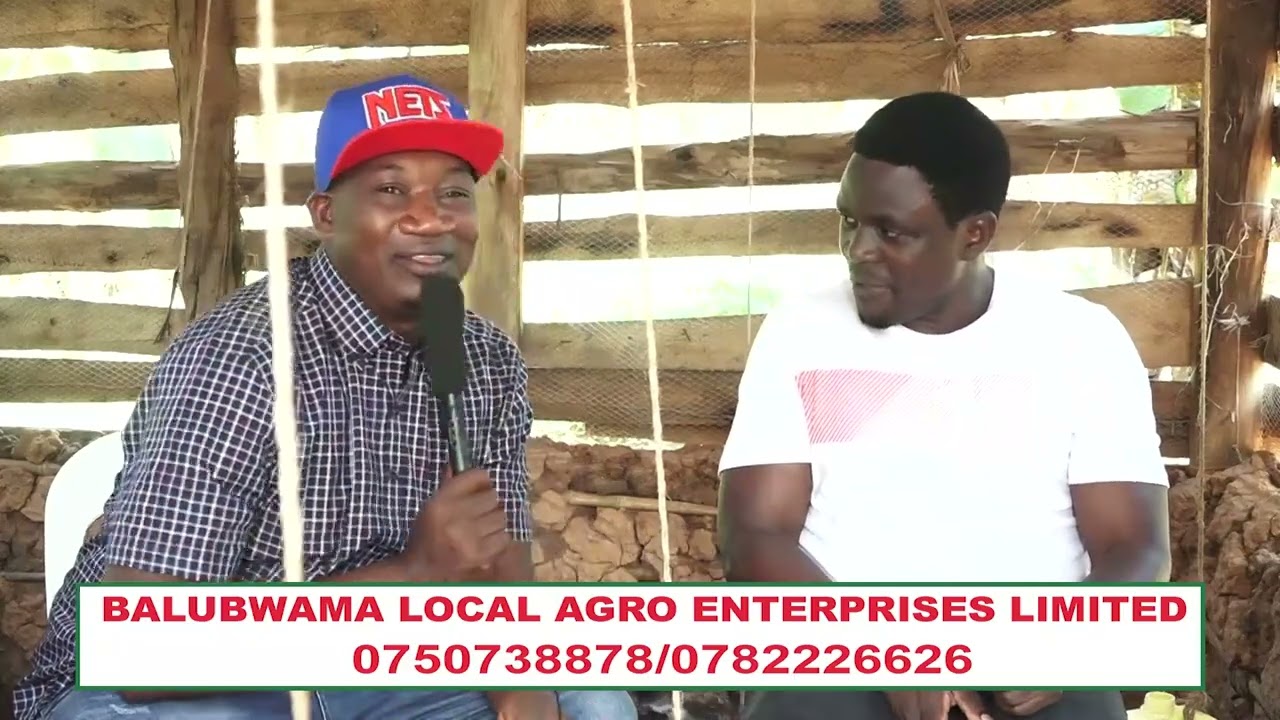 Naawe Osobola . Batandika mpola kati balaba jebalaga