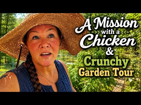 Mission with a Chicken & the Crunchy Garden