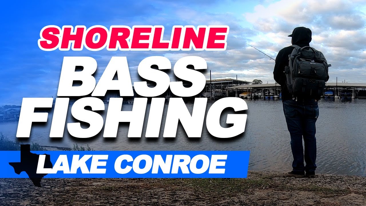 Shoreline Bass Fishing on Lake Conroe: Epic Day of Fish Catching Action!