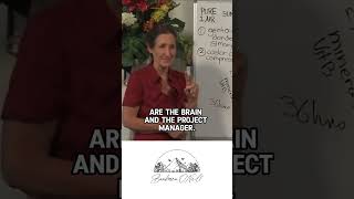 The Silent Killer: Alcohol’s Effect on Your Liver and Brain The Silent Killer: Alcohol’s Effect on Your Liver and Brain