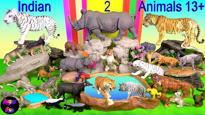 Video 910601: bengal tiger animal, bengal indian, snow leopard, white tiger, animals big cat, big cats wild