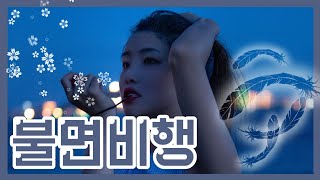 새벽공기 잔뜩 담긴 노래 : 불면비행  [가사/병음/해석/발음]