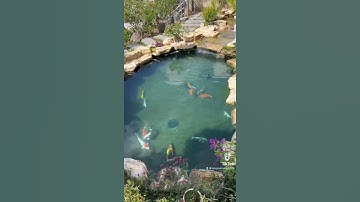 Hồ cá koi đẹp ngoài trời- chúng tôi là đơn vị hàng đầu thi công hồ cá koi đẹp- 0909487988-0909497988