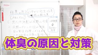 汗や体臭などの嫌なニオイをかき消す急速イオン消臭の実力やいかに？！