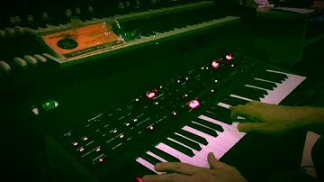 Trying Out The Amazing OB-6. ("The Unboxing")