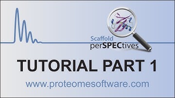 Scaffold perSPECtives 2 Tutorial -- Introduction