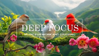 ADHD Relief Music | Studying Music for Better Concentration And Focus, Study Music, Ambient Music