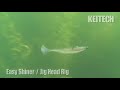 Keitech Easy Shiner video