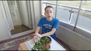 Kısa Film Su İsrafı M. Kayra Güngör Sınıf 5C No 345