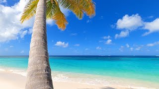 The Most Relaxing Beach Scenery Ever  with Ocean Sounds for Meditation, Studying & Sleep