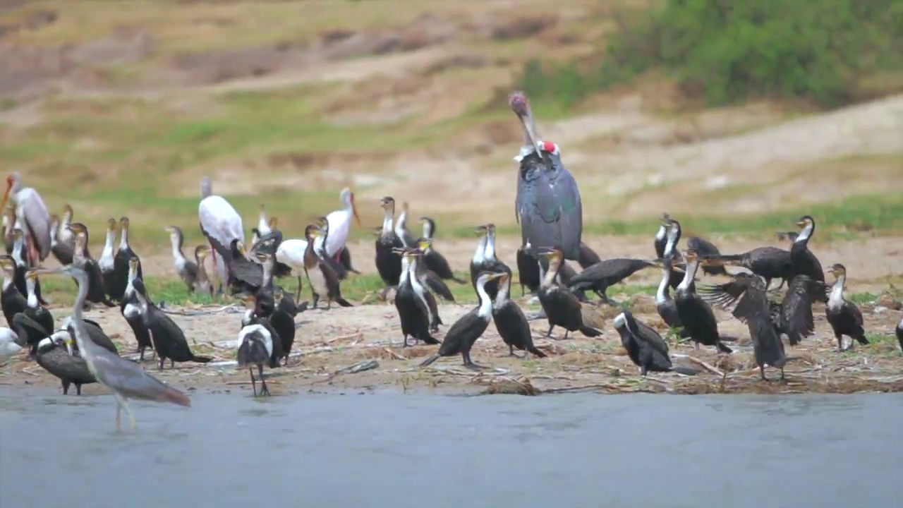 Beacon of Hope Uganda - Hope Center Trailer