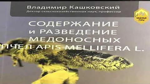 Для чего в пчелиной семье трутни.