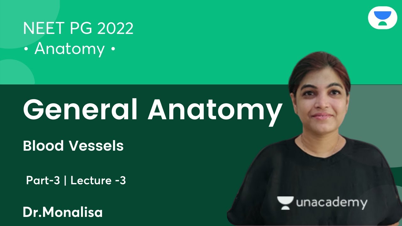 General Anatomy | Blood Vessels | Part-3 | Anatomy | NEET PG'22 | Let's Crack NEET PG | Dr. Monalisa