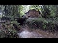 Flash Flooding On The Homestead and Update