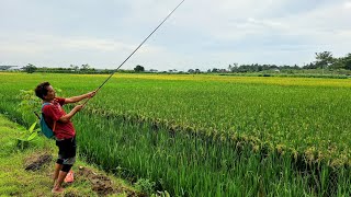 Download Lagu LIVE NDUDUL IWAK BOGO DI SAWAH MP3