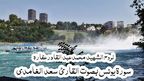 قرآن || سورة يونس بصوت القارئ سعد الغامدي