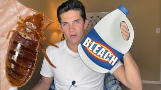 Does Bleach Kill Bed Bugs? - How to Treat Bed Bugs