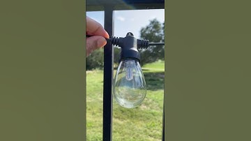 Best Outdoor Solar String Lights for Your Backyard #shorts