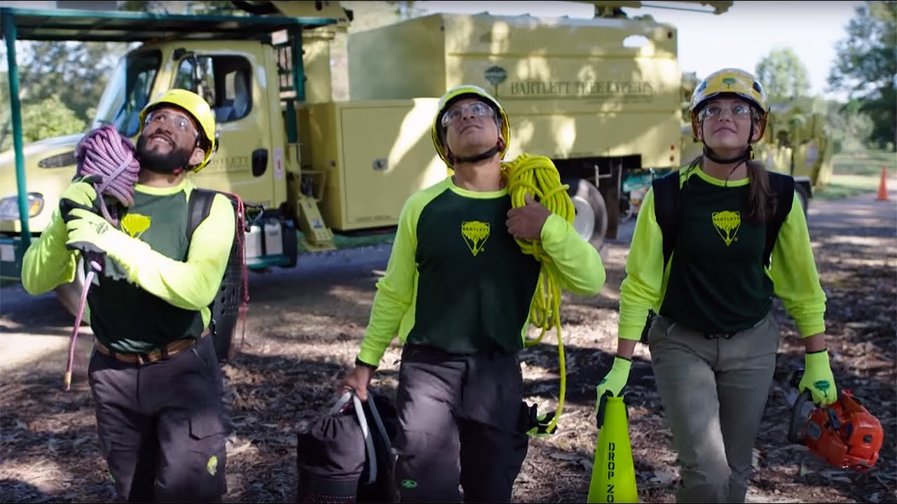 Bartlett Tree Experts Capabilities Video YouTube