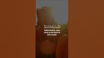 المال و البنون زينة الحياة الدنيا|قران كريم# راحة نفسية🌺😌