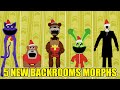 Update 448 backrooms morphs new backrooms   