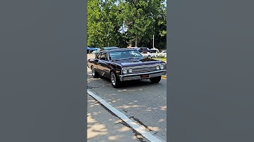 1967 Chevrolet Chevelle Malibu Classic Car Drive By Engine Sound Cruisin