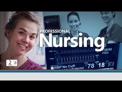 CWI Professional Nursing Program