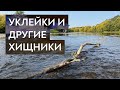 Нахлыст на Москва-реке по низкой воде