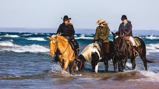 Lake Michigan Shoreline Horseback Riding at Silver Lake State Park