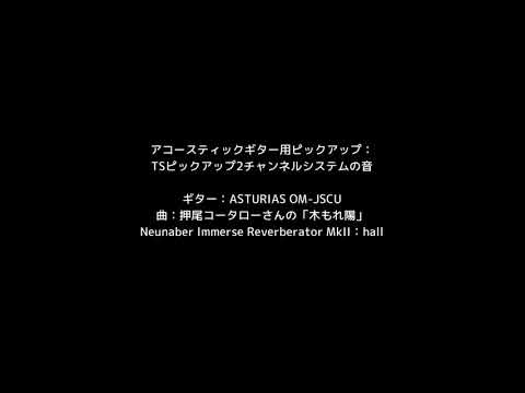 【TSピックアップ】ASTURIAS OM-JSCU＋2チャンネルシステム