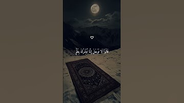 تلاوة يطمئن بها قلبك بصوت الشيخ هزاع البلوشي ارح سمعك ♡ #هزاع_البلوشي #قرآن