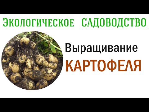 Видео: Советы по экологичному садоводству – Зеленые тенденции садоводства для более чистой Земли