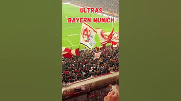 Ultras Bayern Munich Chants Football Shortsviral Fyp 
