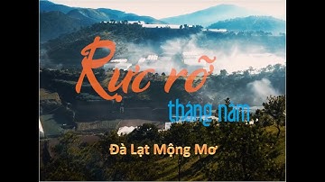 Travel Đà Lạt - Cinematic Music Video [AN TUONGPHOTOGRAPHY - DALAT]