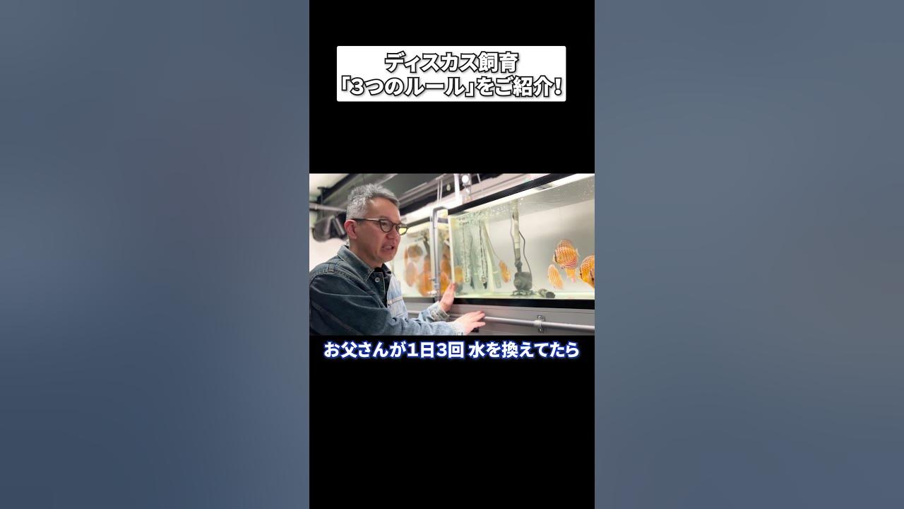 【熱帯魚の王様】ディスカス飼育の基本３大ルールとは？