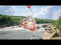 This DESOLATE WATERFALL Was Full Of SURPRISES!!! (My Biggest EVER)