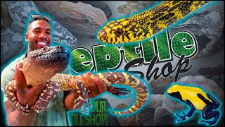 VISITING THE REPTILE SHOP, TEMECULA | THE REAL TARZANN by THE REAL TARZANN 32,397 views 7 months ago 42 minutes