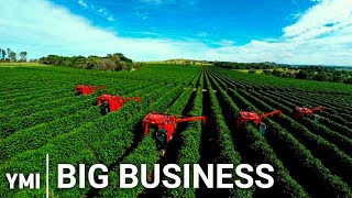 Where does Starbucks Coffee comes from | The Multi Billion Dollar Coffee Industry