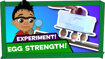 Kid Experiments: Egg Strength - Darwin and Newts