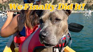 I Made a Bucket List for My Dog | Kayaking Fun 🌊