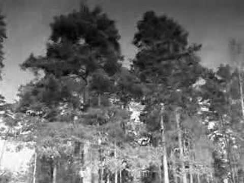 asleep - YouTube